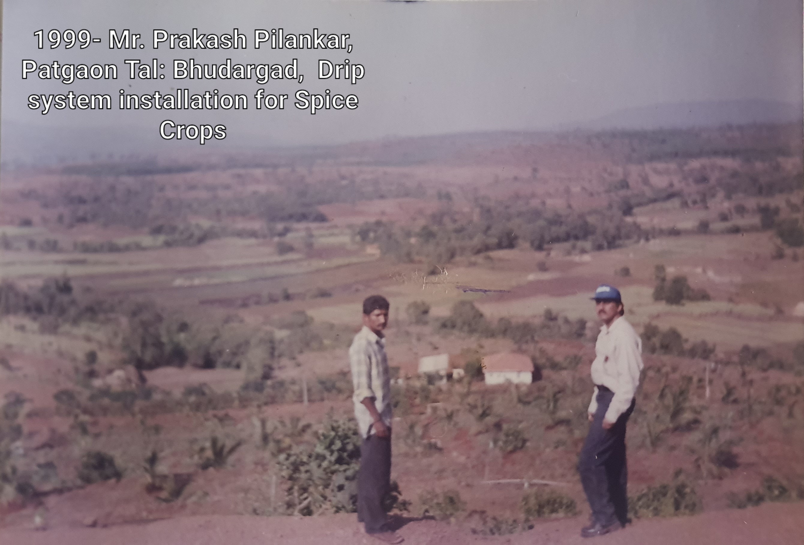 Drip Irrigation Services since 1990 project image 15